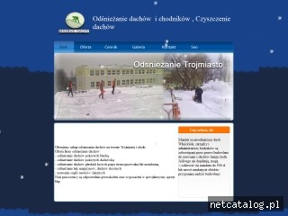 Zrzut ekranu strony odsniezanie-3miasto.pl