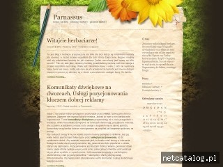 Zrzut ekranu strony www.parnassus.com.pl