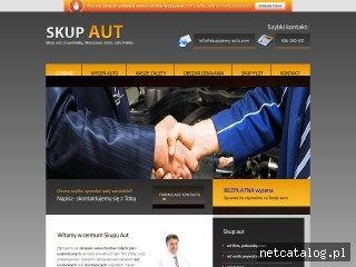 Zrzut ekranu strony skupujemy-auta.com