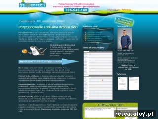 Zrzut ekranu strony www.seoeffect.pl