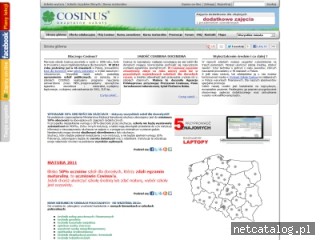 Zrzut ekranu strony www.cosinus.pl