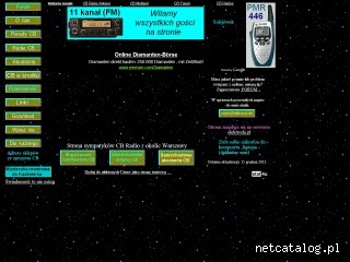 Zrzut ekranu strony radioamator.elektroda.eu