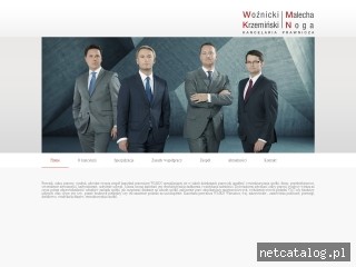 Zrzut ekranu strony www.wmkn.pl