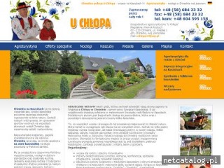 Zrzut ekranu strony www.uchlopa.agrowakacje.pl