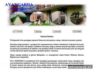 Zrzut ekranu strony www.avangardakrakow.combiz.pl
