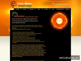 Zrzut ekranu strony www.teoterm.com.pl