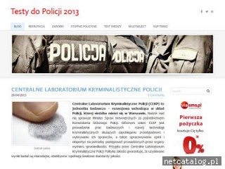 Zrzut ekranu strony www.testydopolicji.info