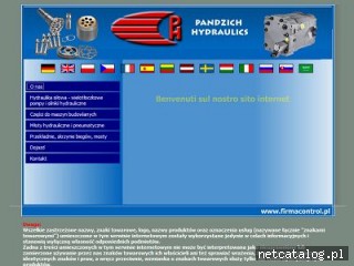 Zrzut ekranu strony pandzich-hydraulics.com