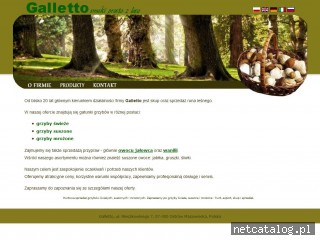 Zrzut ekranu strony www.galletto.pl