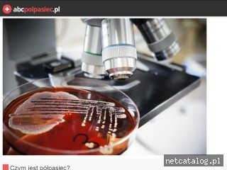 Zrzut ekranu strony www.abcpolpasiec.pl