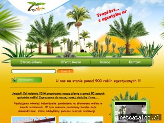 Zrzut ekranu strony www.tropiart.pl
