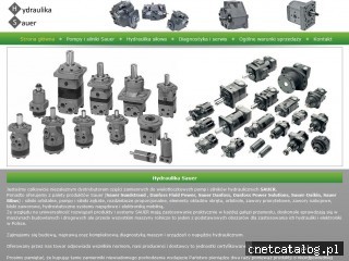 Zrzut ekranu strony www.hydraulika-sauer.pl