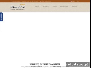 Zrzut ekranu strony www.dawidek.pl