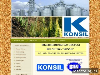 Zrzut ekranu strony www.konsil.pl