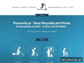 Zrzut ekranu strony pracowite.pl