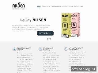 Zrzut ekranu strony e-nilsen.pl