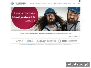 Zrzut ekranu strony thermosilesia.pl