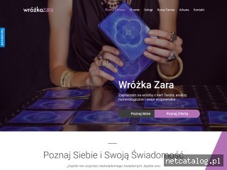 Zrzut ekranu strony wrozka-katowice.pl