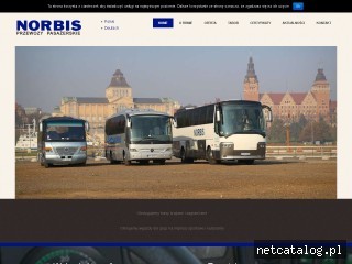 Zrzut ekranu strony www.norbis.pl