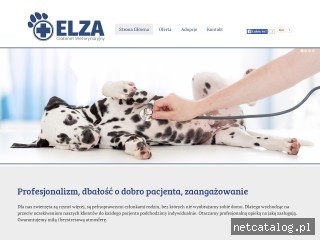 Zrzut ekranu strony www.weterynarz-swidnik.pl