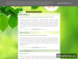 Zrzut ekranu strony www.eco-site.com.pl