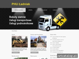 Zrzut ekranu strony www.robotyziemneladniak.pl