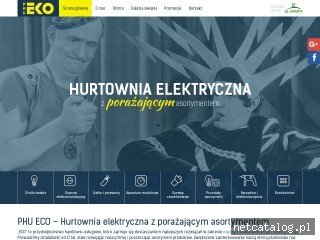 Zrzut ekranu strony www.eko-olkusz.pl