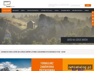 Zrzut ekranu strony www.zamek-ogrodzieniec.pl