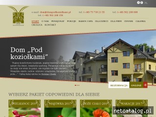 Zrzut ekranu strony dompodkoziolkami.com.pl