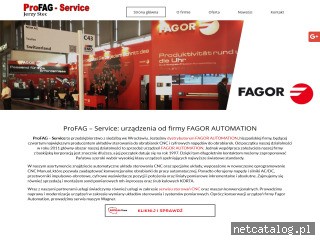 Zrzut ekranu strony profag-service.pl