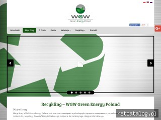 Zrzut ekranu strony wgwenergy.pl