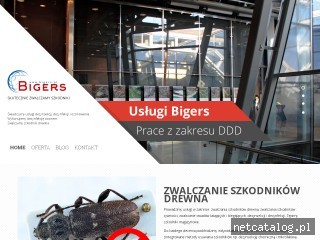 Zrzut ekranu strony bigers.pl
