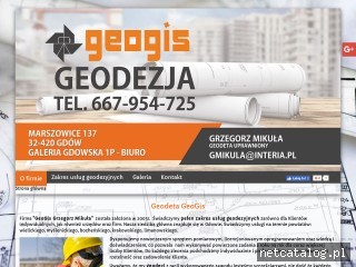 Zrzut ekranu strony geodezja-geogis.pl