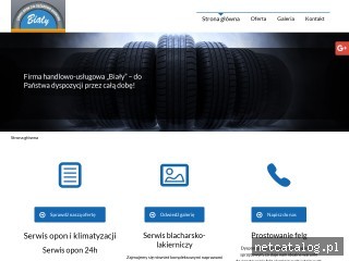 Zrzut ekranu strony www.serwisbialy.pl