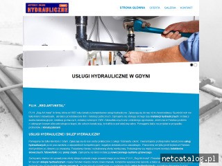 Zrzut ekranu strony uslugiinstalacyjne.com.pl