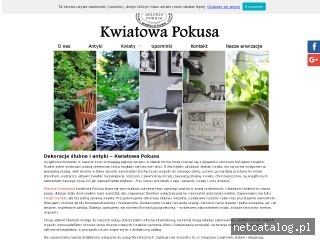Zrzut ekranu strony kwiatowapokusa.pl