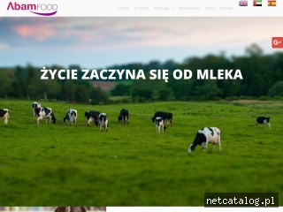 Zrzut ekranu strony abamfood.pl