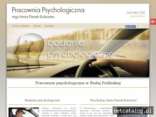 Zrzut ekranu strony psychologiakierowcow.pl
