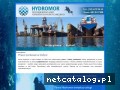 www.pracenurkowehydromor.pl