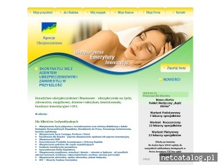 Zrzut ekranu strony doradztwo-ubezpieczeniowe.pl