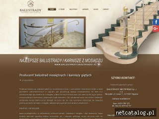 Zrzut ekranu strony www.balustrady-skrzypinski.pl