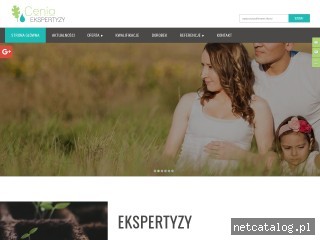 Zrzut ekranu strony www.cenia-ekspertyzy.pl