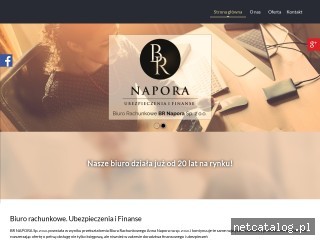 Zrzut ekranu strony br-napora.pl