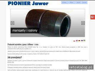 Zrzut ekranu strony www.pionier-jawor.pl