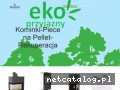 www.intraco-kominki.pl Kominki Puławy