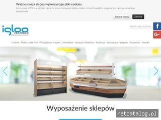 Zrzut ekranu strony www.iglootechnika.pl