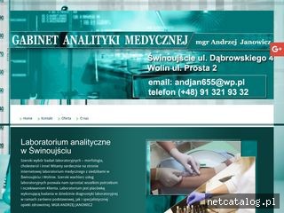 Zrzut ekranu strony laboratoriumswinoujscie.pl