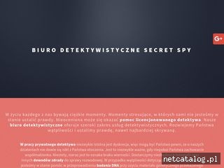 Zrzut ekranu strony www.detektyw24.szczecin.pl