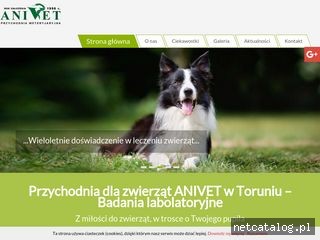Zrzut ekranu strony weterynarz-torun.com.pl