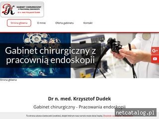 Zrzut ekranu strony www.skopia.pl